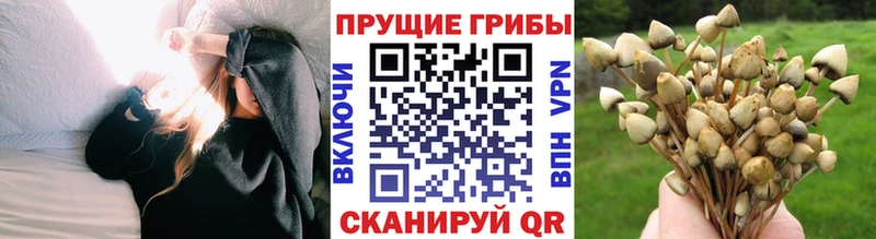 Псилоцибиновые грибы Magic Shrooms  Сибай 